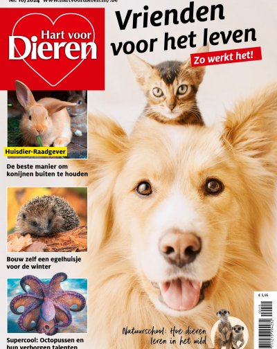 Hart voor Dieren