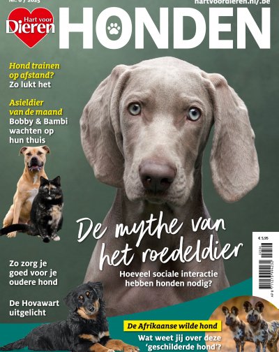 Hart voor Dieren