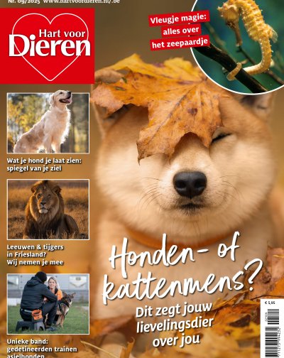 Hart voor Dieren