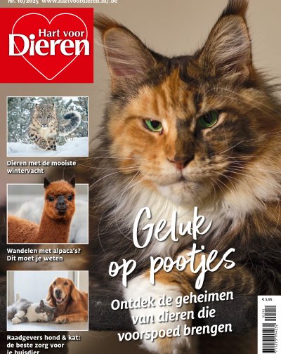 Hart voor Dieren